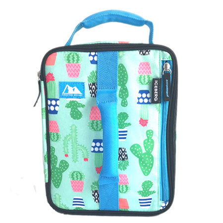 Arctic Zone Expandable Lunch Pack, Hello Green